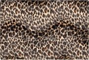 ������ ��� �������� Speed-link SL-6280-C02, 15, leopard