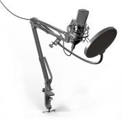 Микрофон Ritmix RDM-169 Black, студийный, на струбцине, USB