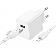 �������� ���������� Borofone BAS11A, 2.1� USB + ������ Lightning, �����