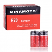  D Minamoto R20/2SH, 24 , 